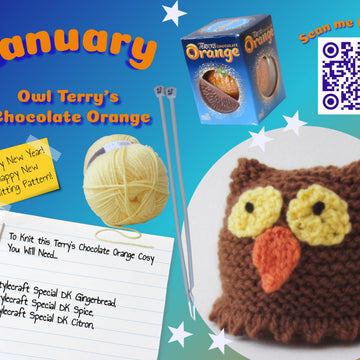 Owl Chocolate Orange Cosy