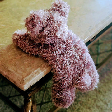 Hang in There Bear