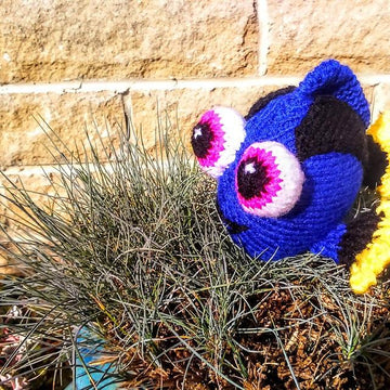 Baby Dory