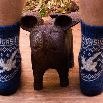 Pigasus Socks