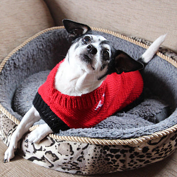 Designer Dog Coat and Cat Coat