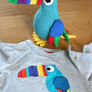 Toucan Tim