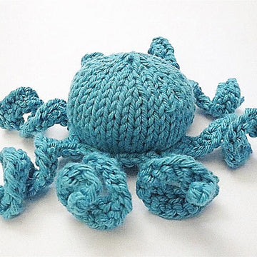 Jett the Octopus