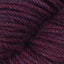 Dried Plum (6180)