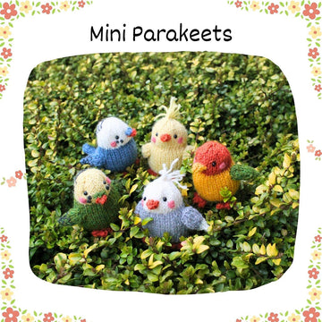 Mini Parakeets