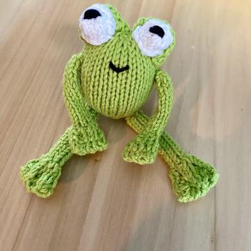 Frog pocket buddy