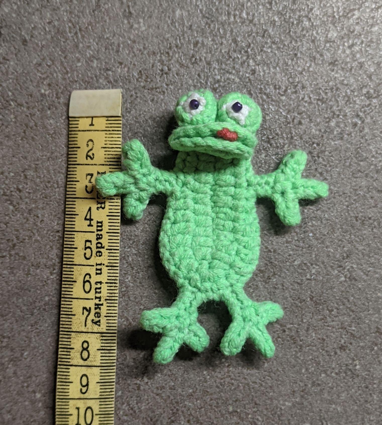 Fidget Toy  Frog English-US
