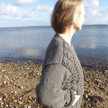 Old Seashell