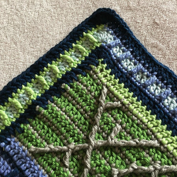 Inscribed Blanket
