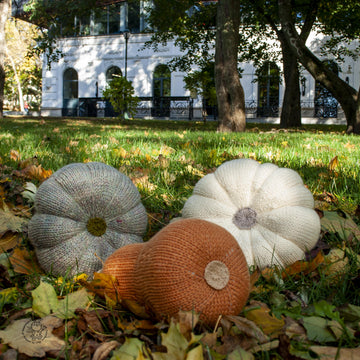 Three Halloween pumpkins