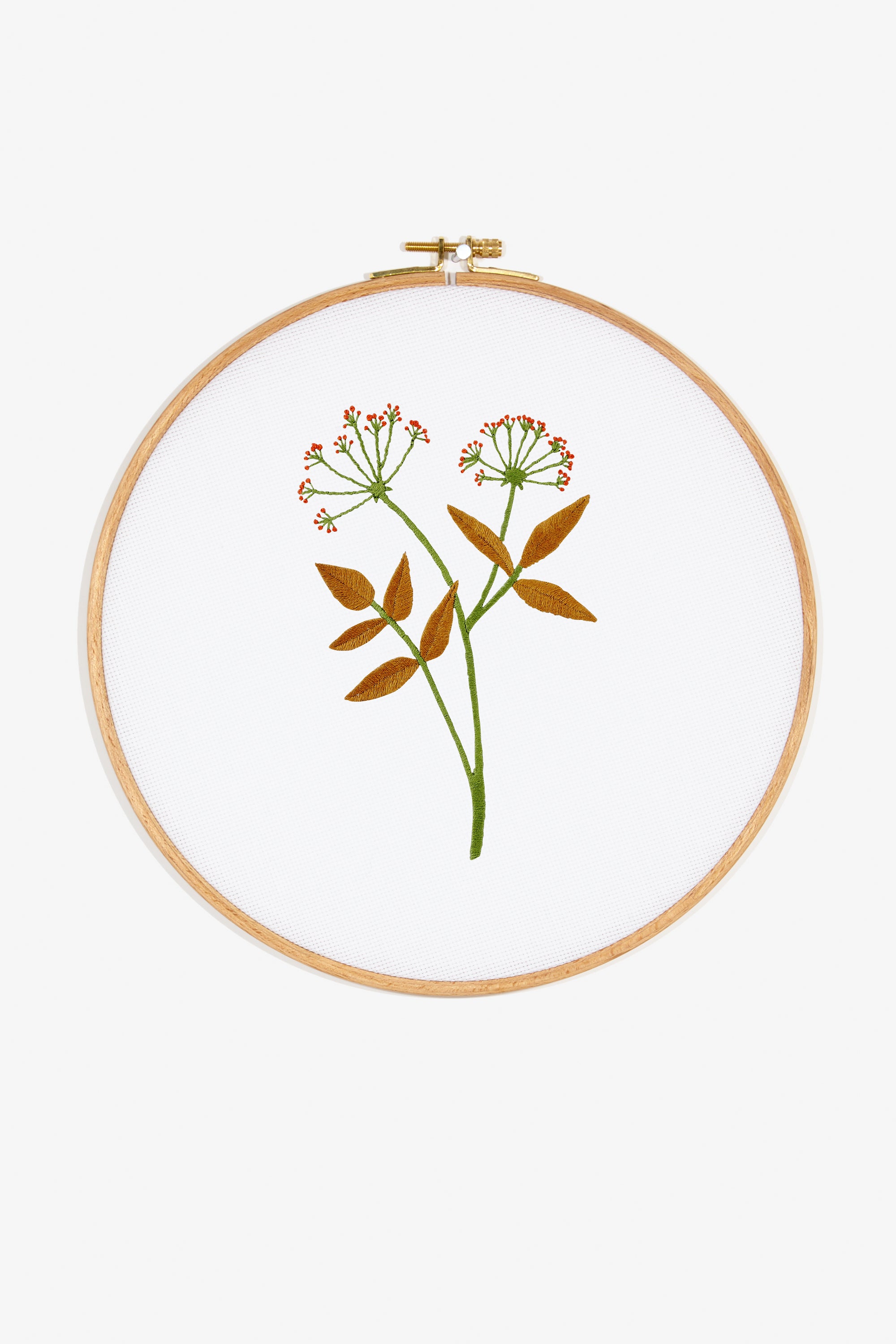 Coriander in DMC - PAT0320 - Downloadable PDF