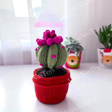 Cactus in a pot