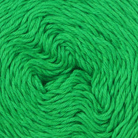 Kiwi (857)