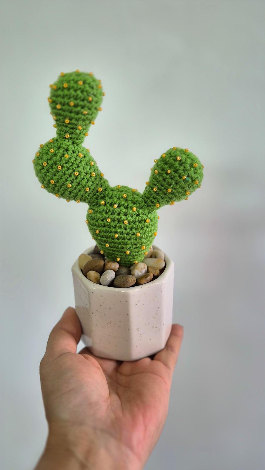 Prickly pear cactus