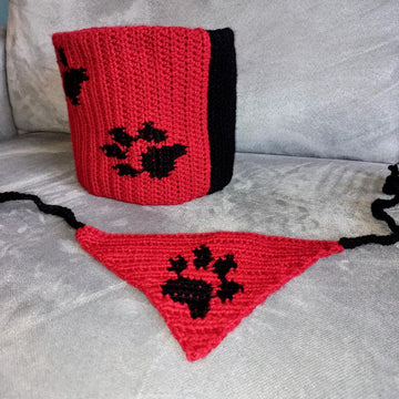 Matching cowl and dog bandana