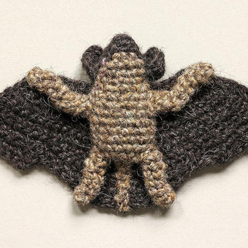 Mr. Batty the bat