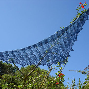 Noni