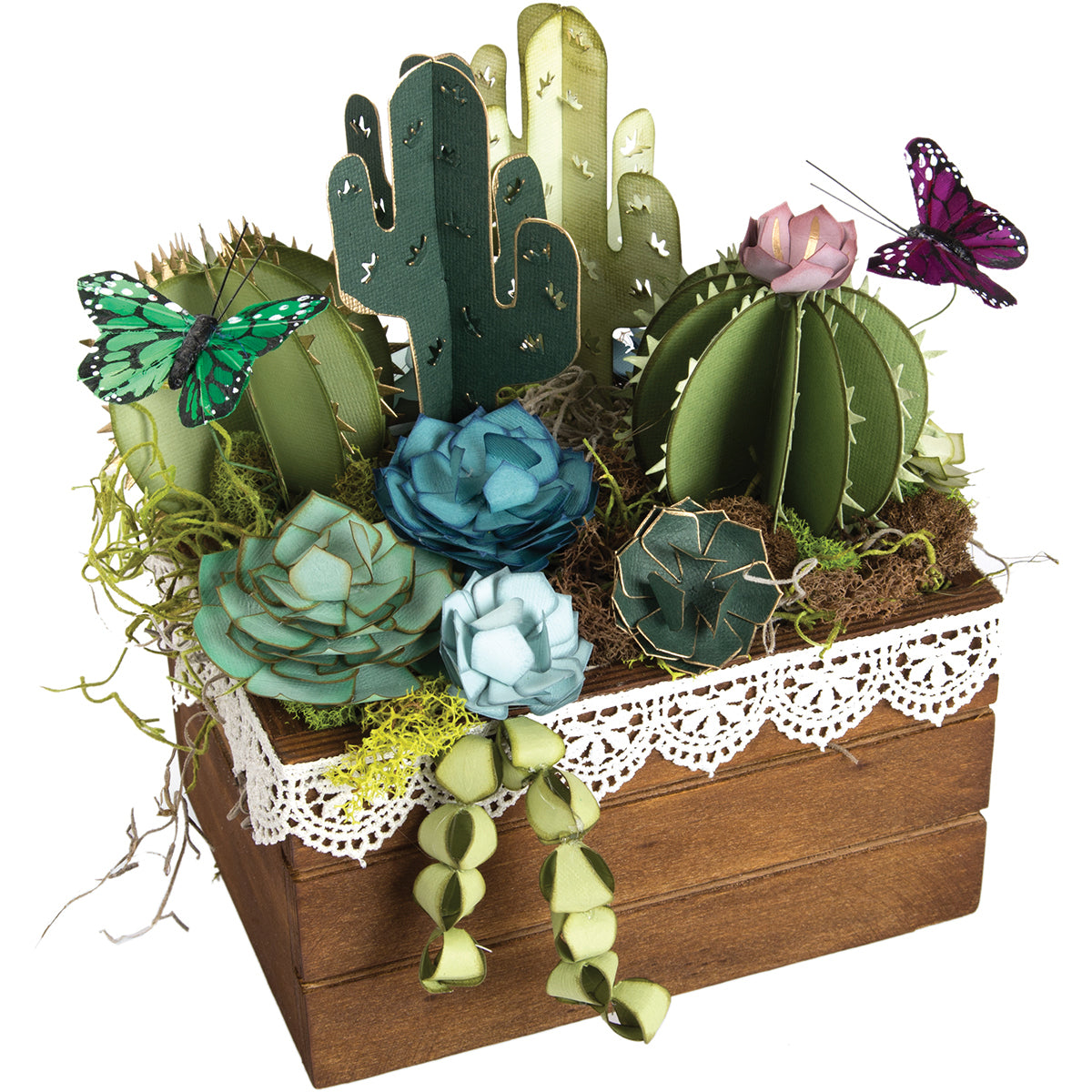Sizzix Thinlits 2D, 3D Dies By Lynda Kanase 6/Pkg - 2D & 3D Succulents