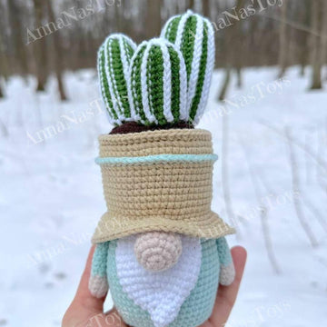 Gnome-cactus in a pot 3