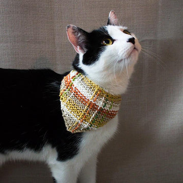 Pet neckerchief