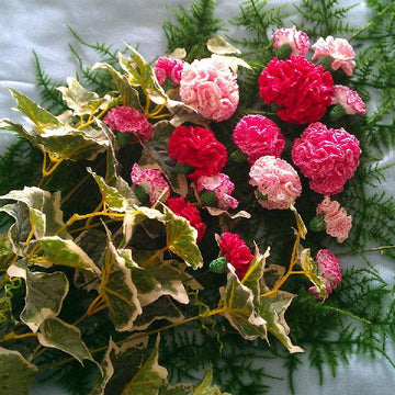 Carnation bouquet
