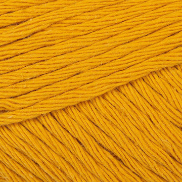 Saffron (249)