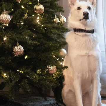 Fable Fur Tree Skirt