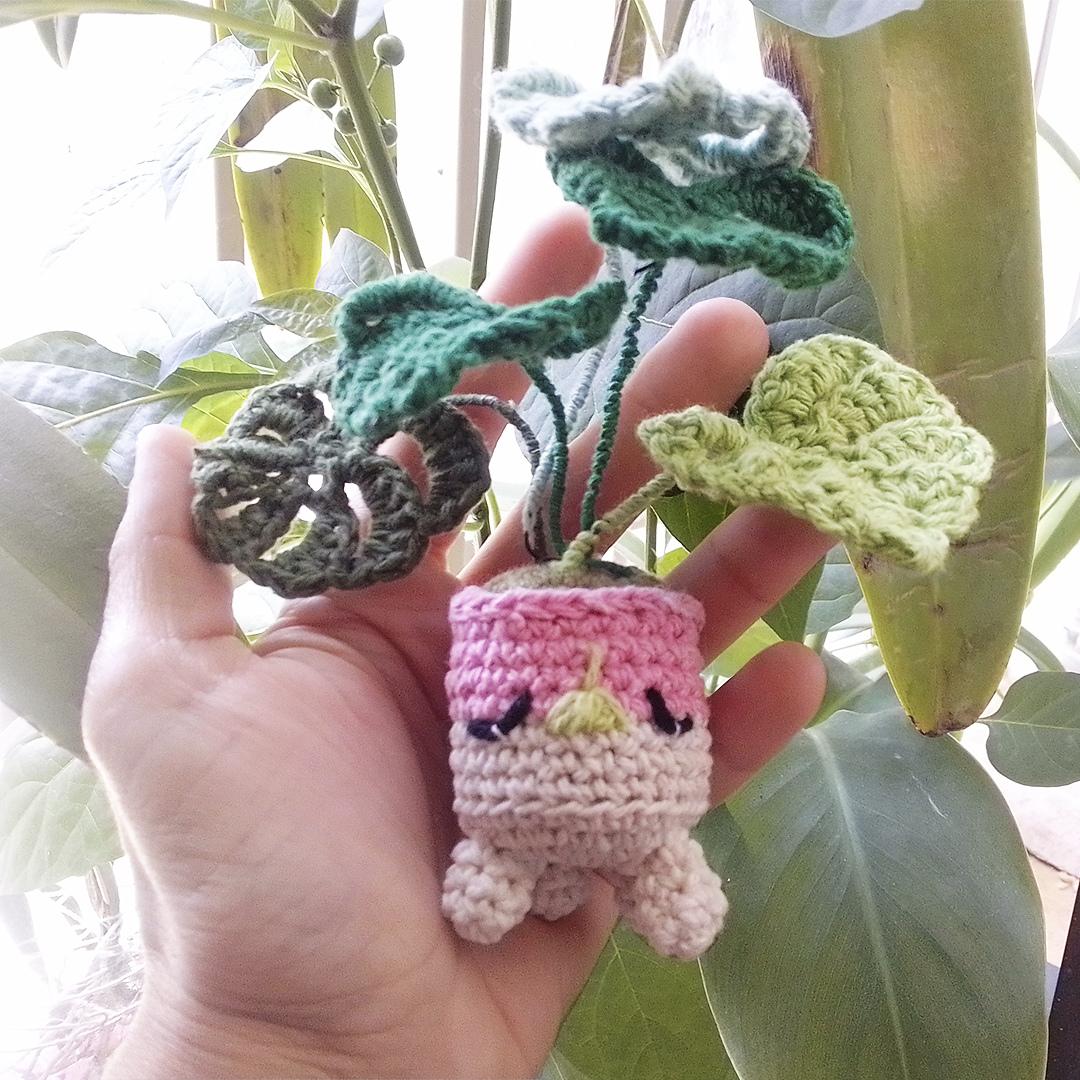 Monstera Mon
