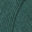 Teal (201362)