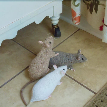 Rats!