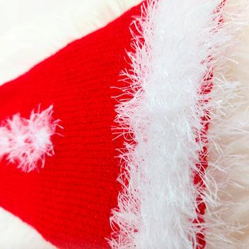 Santa dog coat