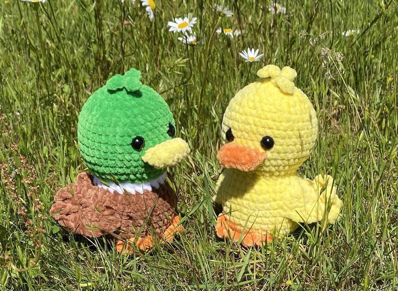 Ducklings