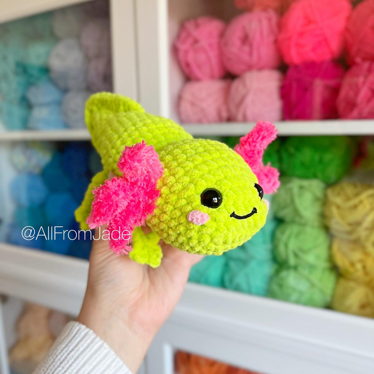 Anna the Medium Axolotl