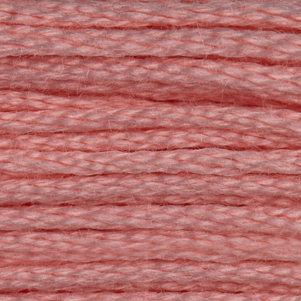 DMC Stranded Cotton - Warm Shades