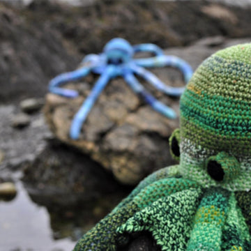 Giant Octopus