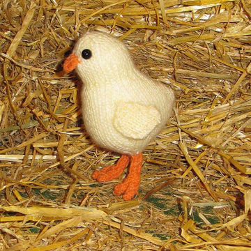 Baby Easter Chick