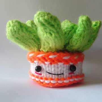 ECHEVERIA SUCCULENT knit