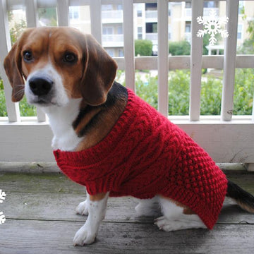 Canine Christmas Sweater