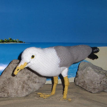 My Pet Seagull