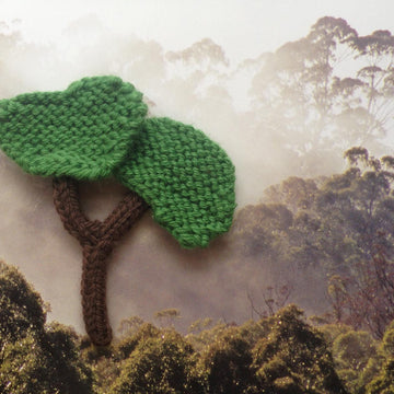 Eucalyptus Tree