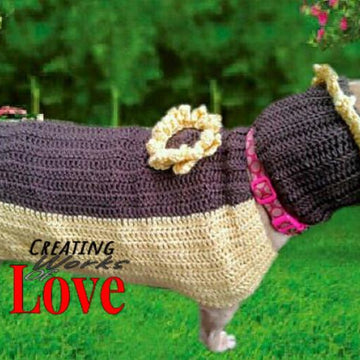 Sunflower Dog Sweater Costume