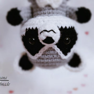 Little Raccoon