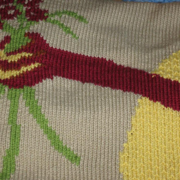 Dragon Blanket