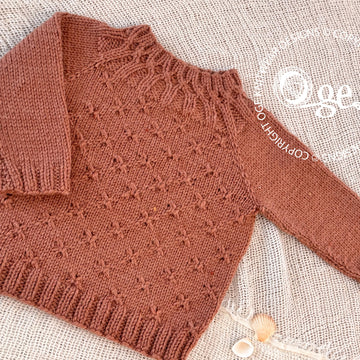 Butterfly Sweater - P299