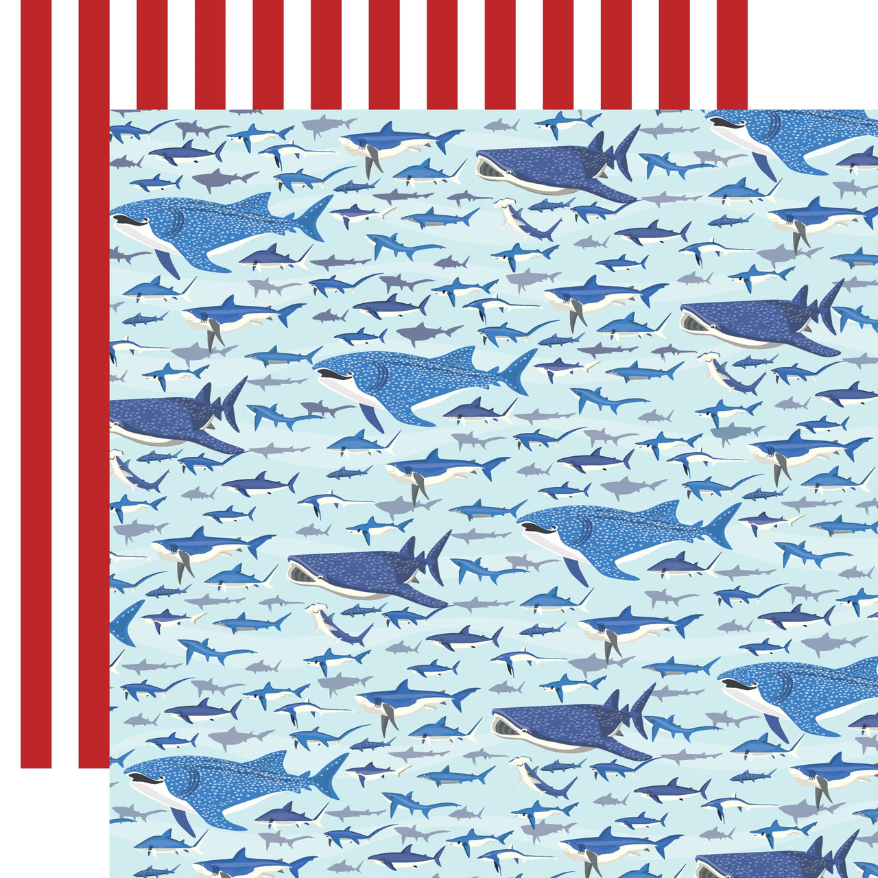 Echo Park Paper Fish Are Friends Double-Sided Cardstock 12"X12" 25/Pkg - Shark Swim