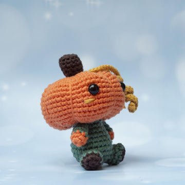 Mini Pumpkin Boy