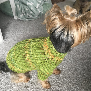 Plum Dog Sweater