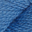 Puget Sound (9487)