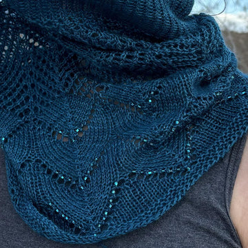 Chartres Cowl