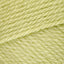 Soft Fern (30221)